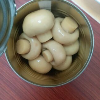 Diskuss Mushroom -425 gm